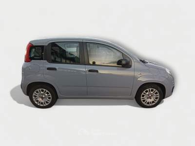 Fiat Panda FireFly Hybrid 70cv S&S Grigio usata Pisa