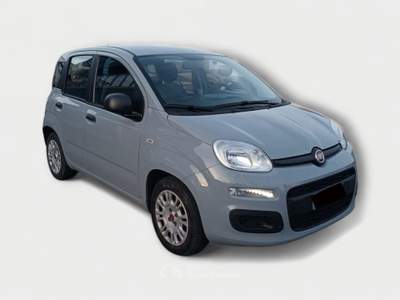Fiat Panda FireFly Hybrid 70cv S&S Grigio usata Pisa