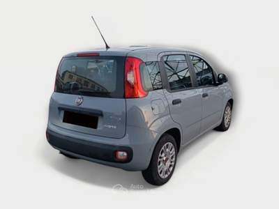 Fiat Panda FireFly Hybrid 70cv S&S Grigio usata Pisa