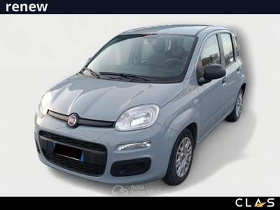 Fiat Panda FireFly Hybrid 70cv S&S Grigio usata Pisa