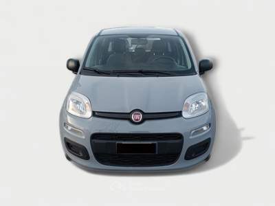 Fiat Panda FireFly Hybrid 70cv S&S Grigio usata Pisa