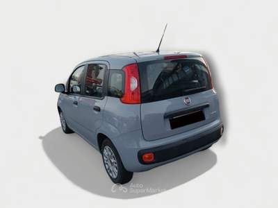 Fiat Panda FireFly Hybrid 70cv S&S Grigio usata Pisa