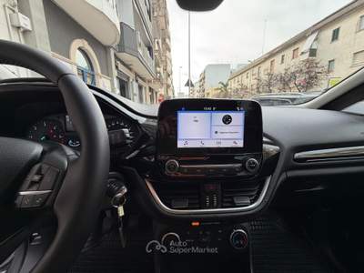 Ford Fiesta 5 porte Titanium Grigio usata Andria