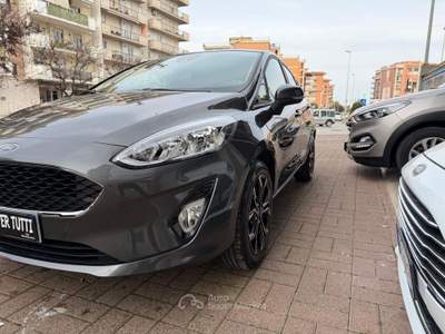 Ford Fiesta 5 porte Titanium Grigio usata Andria
