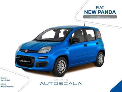 Fiat Panda New 1.0 FireFly S&S Hybrid Pandina Argento usata Nola