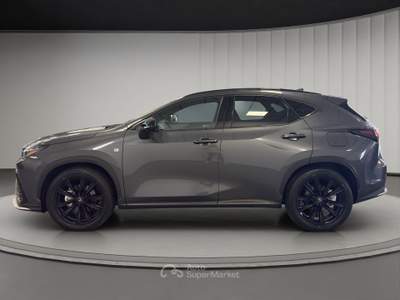 Lexus NX NX 350h 2.5 F-Sport 4wd e-cvt Grigio usata Bra