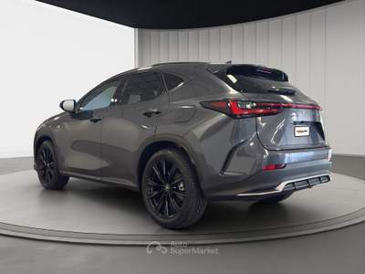 Lexus NX NX 350h 2.5 F-Sport 4wd e-cvt Grigio usata Bra