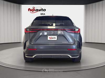 Lexus NX NX 350h 2.5 F-Sport 4wd e-cvt Grigio usata Bra
