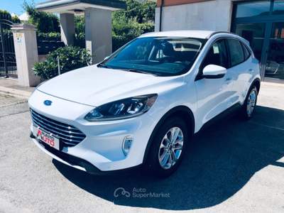 Ford Kuga 120CV AUTOM- NAVI-TELECAM-TITANIUM Bianco usata Isernia