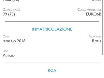 Ford EcoSport 1.5 TDCi 100 CV Start&Stop Business Grigio usata Pesaro