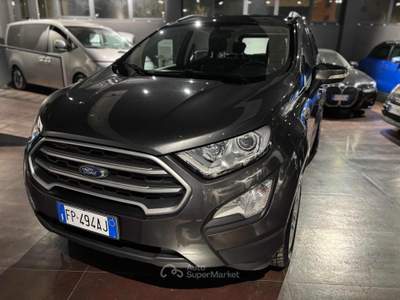 Ford EcoSport 1.5 TDCi 100 CV Start&Stop Business Grigio usata Pesaro