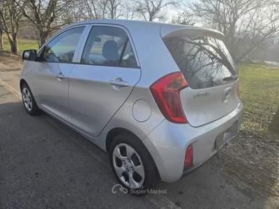 Kia Picanto 5 porte Argento usata Castiglione Torinese