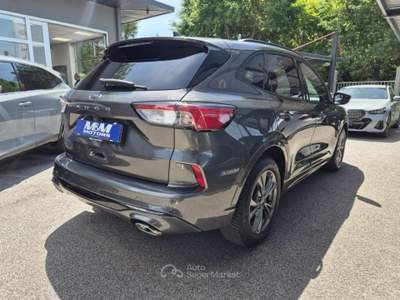 Ford Kuga 2.0 EcoBlue 120 CV aut. 2WD ST-Line PRONTA Grigio usata Martellago