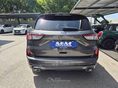 Ford Kuga 2.0 EcoBlue 120 CV aut. 2WD ST-Line PRONTA Grigio usata Martellago