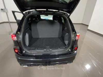 Ford Kuga 2.0 EcoBlue 120 CV aut. 2WD ST-Line #VARI COLORI Nero usata Martellago