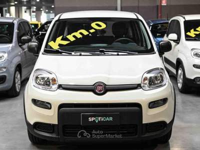 Fiat Panda 1.0 FireFly S&S Hybrid Bianco usata Frosinone