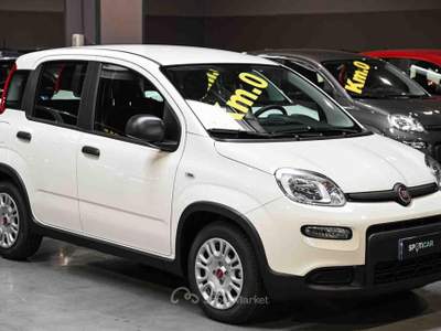 Fiat Panda 1.0 FireFly S&S Hybrid Bianco usata Frosinone