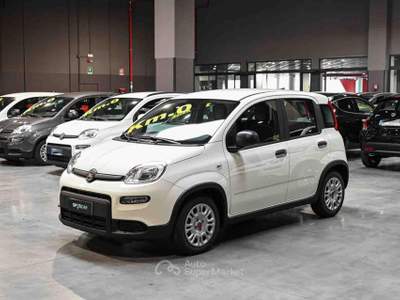 Fiat Panda 1.0 FireFly S&S Hybrid Bianco usata Frosinone