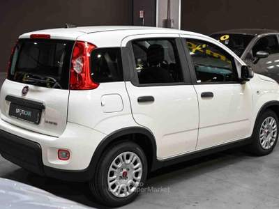 Fiat Panda 1.0 FireFly S&S Hybrid Bianco usata Frosinone