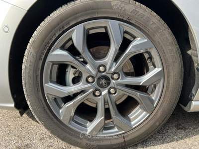 Ford Focus 1.0 EcoBoost 125CV 5p. ST Line #VARI COLORI Grigio usata Martellago
