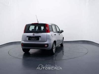 Fiat Panda New 1.2 GPL Lounge Grigio usata Nola