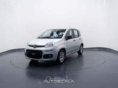 Fiat Panda New 1.2 GPL Lounge Grigio usata Nola