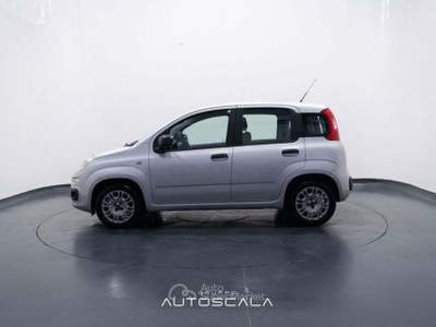 Fiat Panda New 1.2 GPL Lounge Grigio usata Nola
