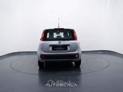 Fiat Panda New 1.2 GPL Lounge Grigio usata Nola