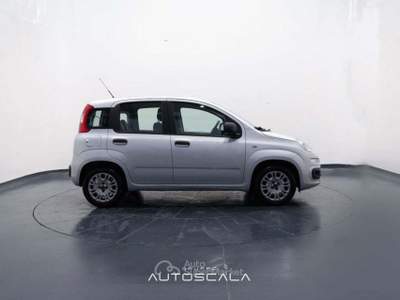 Fiat Panda New 1.2 GPL Lounge Grigio usata Nola