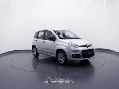 Fiat Panda New 1.2 GPL Lounge Grigio usata Nola