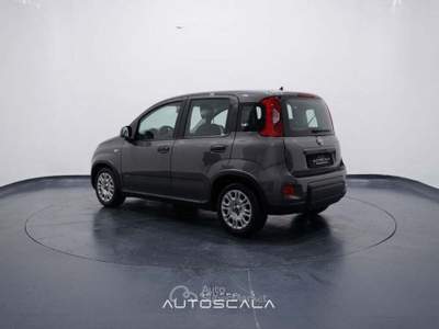 Fiat Panda New 1.0 FireFly City Life S&S Hybrid Grigio usata Nola