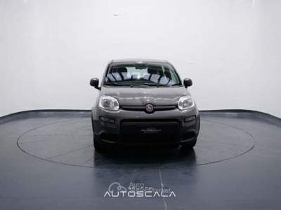 Fiat Panda New 1.0 FireFly City Life S&S Hybrid Grigio usata Nola