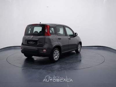 Fiat Panda New 1.0 FireFly City Life S&S Hybrid Grigio usata Nola