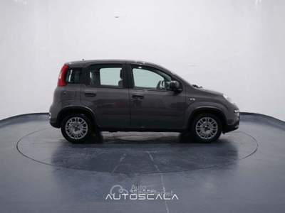 Fiat Panda New 1.0 FireFly City Life S&S Hybrid Grigio usata Nola
