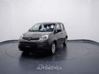 Fiat Panda New 1.0 FireFly City Life S&S Hybrid Grigio usata Nola