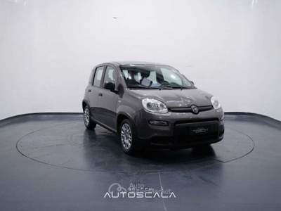Fiat Panda New 1.0 FireFly City Life S&S Hybrid Grigio usata Nola