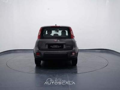 Fiat Panda New 1.0 FireFly City Life S&S Hybrid Grigio usata Nola