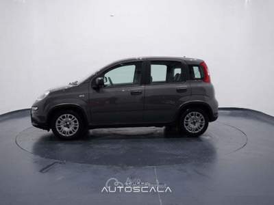 Fiat Panda New 1.0 FireFly City Life S&S Hybrid Grigio usata Nola