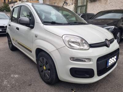 Fiat Panda 1.2 Young Grigio usata San Giorgio a Cremano