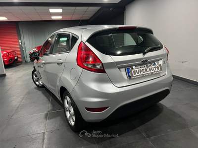 Ford Fiesta 1.4 TDCi 70CV 5 porte Titanium Argento usata Atena lucana