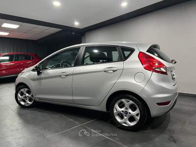 Ford Fiesta 1.4 TDCi 70CV 5 porte Titanium Argento usata Atena lucana