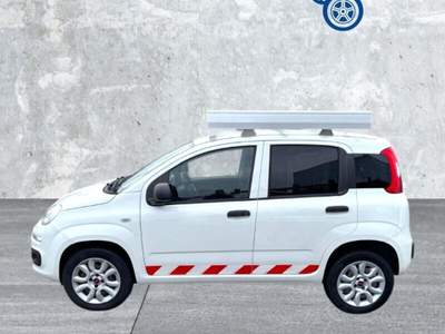 Fiat Panda Panda 0.9 TwinAir Turbo Natural Power Pop Van 2 posti Bianco usata Laterina