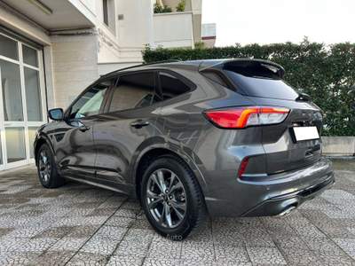 Ford Kuga 2.0 EcoBlue 120 CV aut. 2WD ST-Line Grigio usata Alberobello