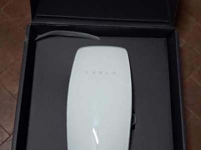 Tesla Model 3 Standard Range Plus 50Kwh Bianco usata Mentana