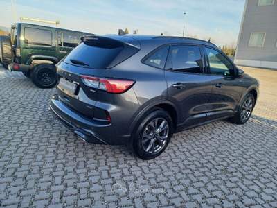 Ford Kuga Kuga 2.5 Plug In Hybrid 225 CV CVT 2WD ST-Line X usata Cecina