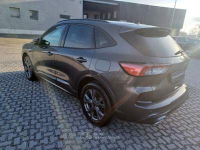 Ford Kuga Kuga 2.5 Plug In Hybrid 225 CV CVT 2WD ST-Line X usata Cecina