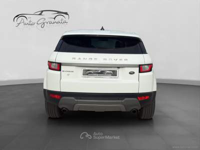 Land Rover Range Rover Evoque RR Evoque 2.0 TD4 150 CV 5p. Bs Ed. Pure SOLI 130.000KM! Bianco usata Qualiano
