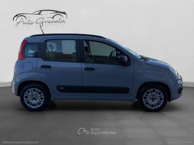Fiat Panda Panda 1.0 FireFly S&S Hybrid AFFARE! Grigio usata Qualiano