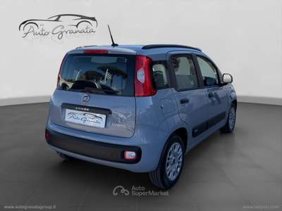 Fiat Panda Panda 1.0 FireFly S&S Hybrid AFFARE! Grigio usata Qualiano