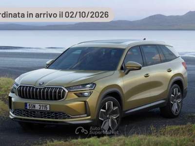 Skoda Kodiaq 1.5 TSI PHEV DSG Executive Argento usata Pieve di Cento